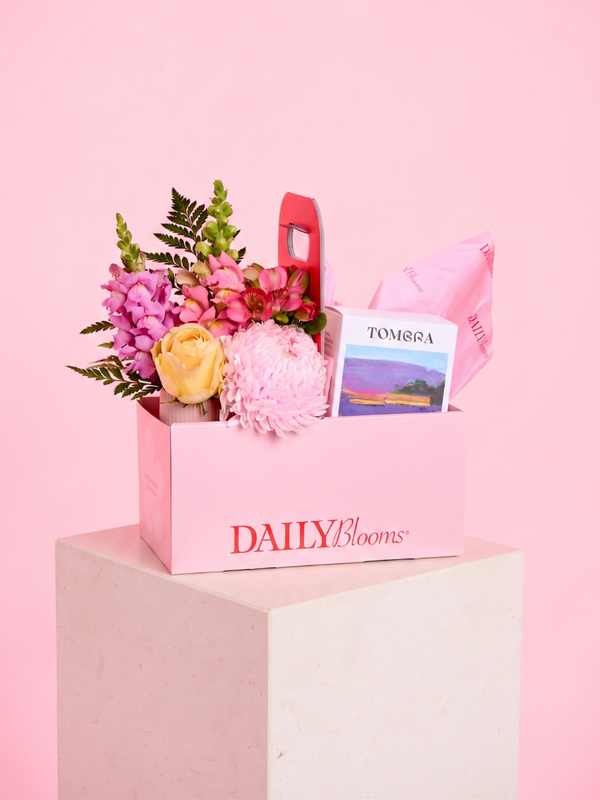 Balm Bundle
