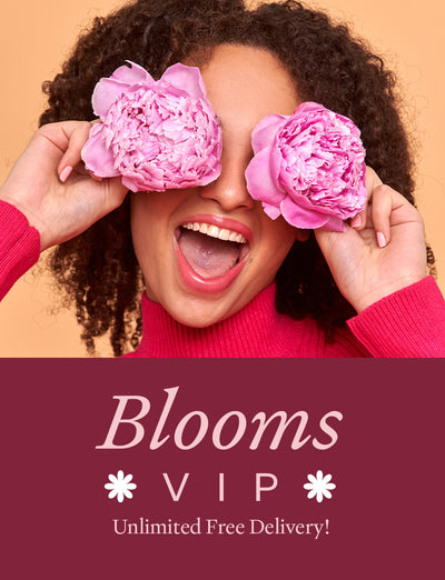 Blooms VIP Delivery