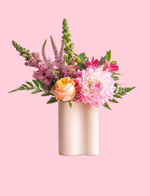 Yuletide Delights Bundle