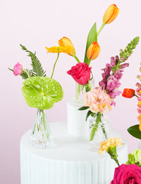 Bud Vase Package