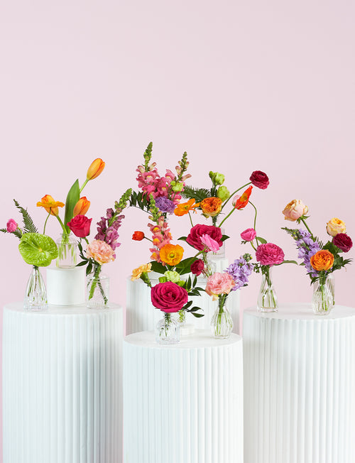 Size | 10 Bud Vases / Bright