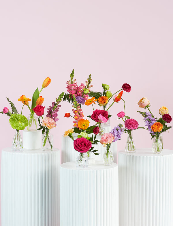 Size | 10 Bud Vases / Bright