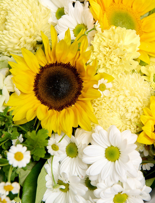 Large Sunny Day Bouquet