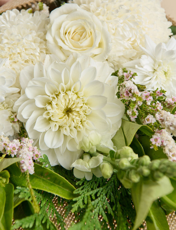 Medium White + a vase!