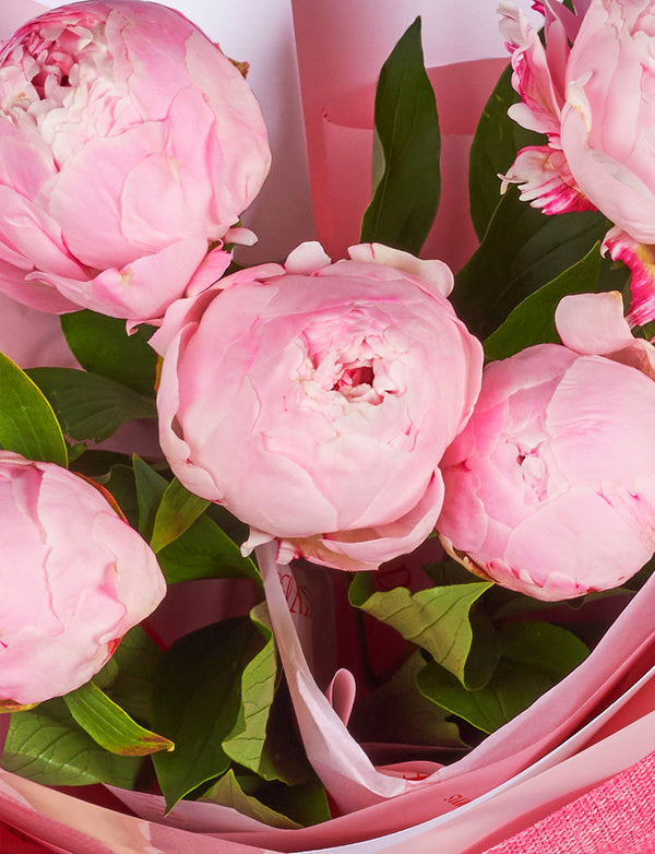 Peonies - Small Bunch