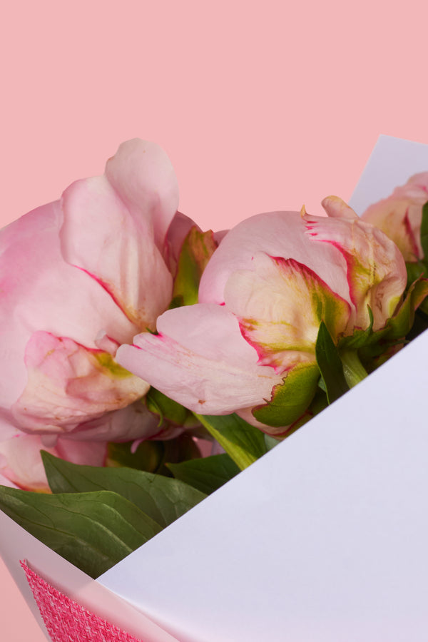 Peonies - Small Bunch