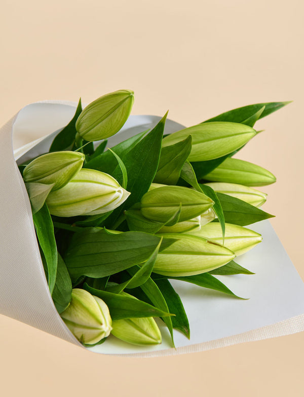 Oriental Lilies