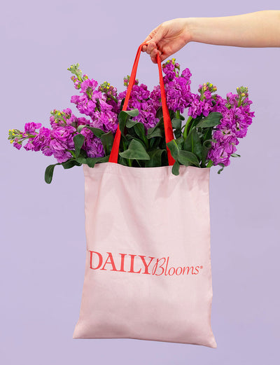 The Daily Tote Bag