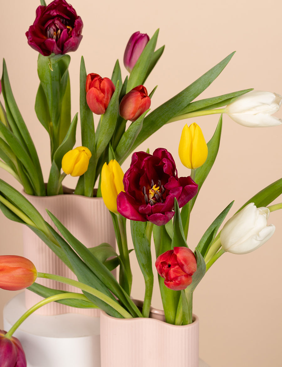 A Dozen Mixed Tulips
