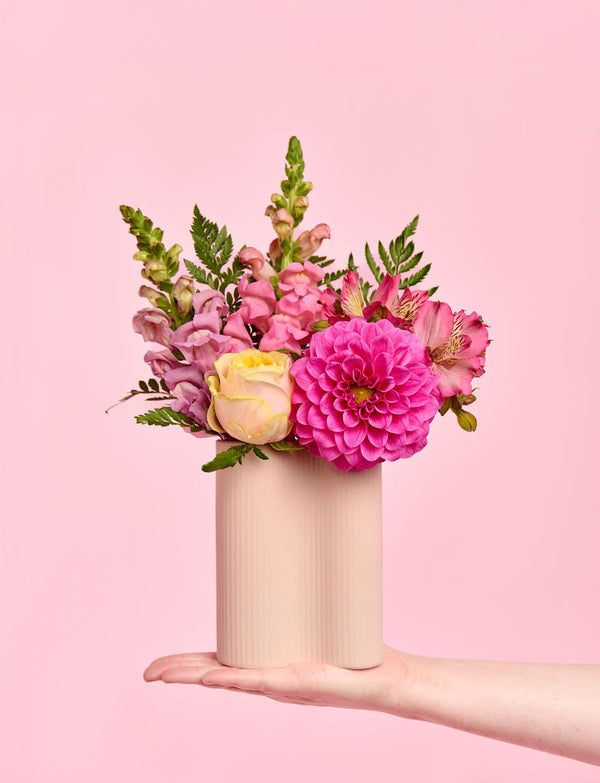 Floss Delight Bundle