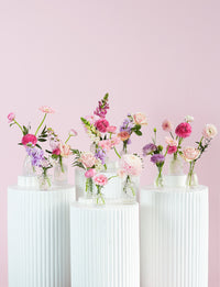 Bud Vase Package