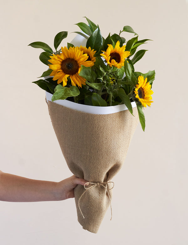 Sunshine Baby Bundle