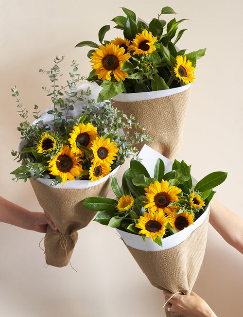 Sunshine Baby Bundle