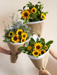 Sunshine Baby Bundle