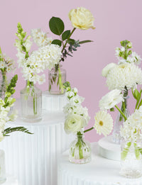 Bud Vase Package