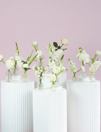 Bud Vase Package