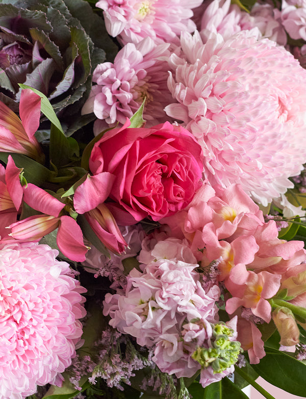 Extra Large Colour + a vase!