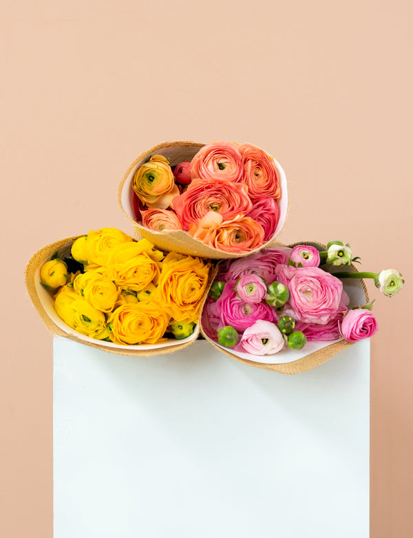 Buttercup Lucky Dip