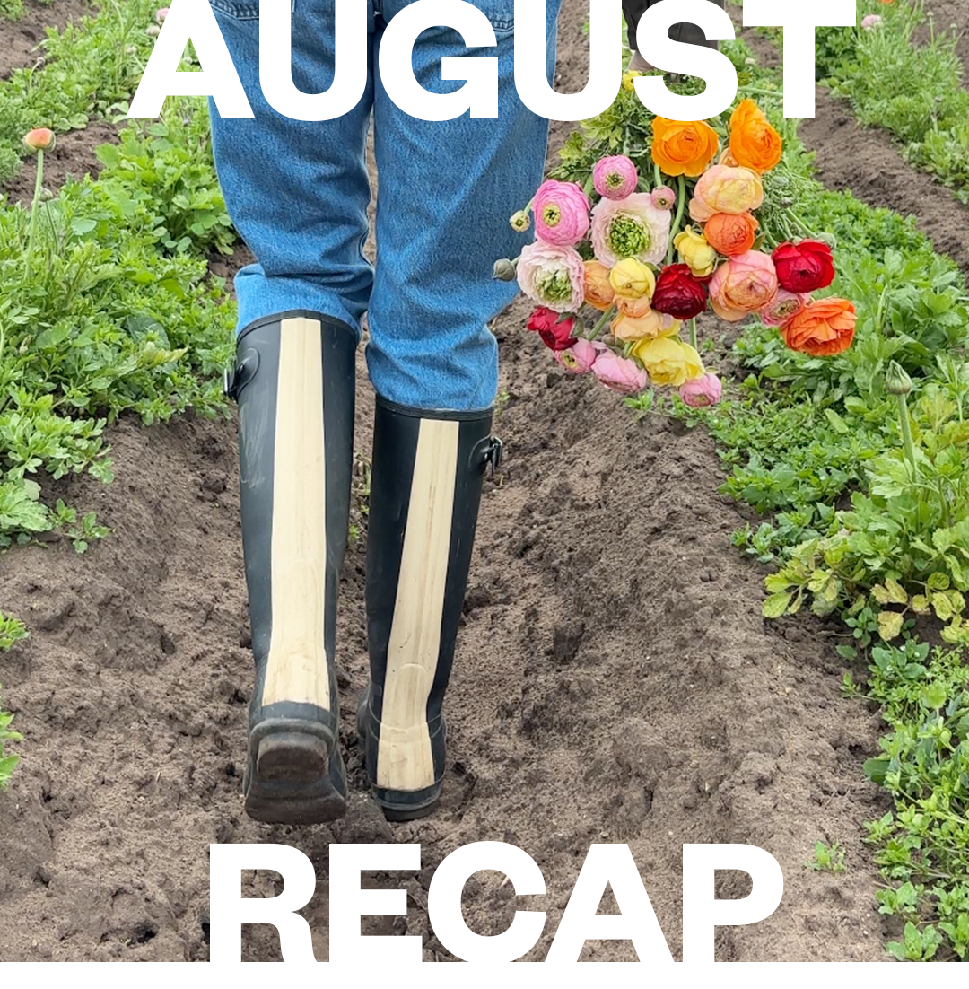 August Wrap-up