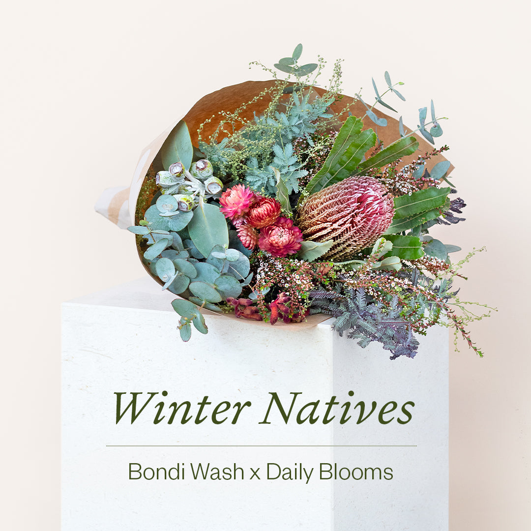 Bondi Wash X Daily Blooms Natives