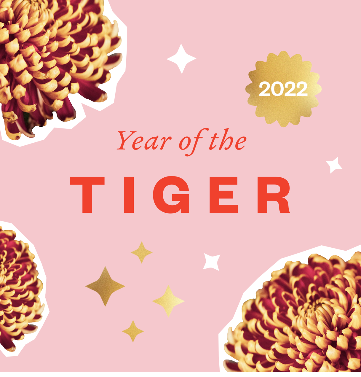 The Year of the Tiger - 2022!