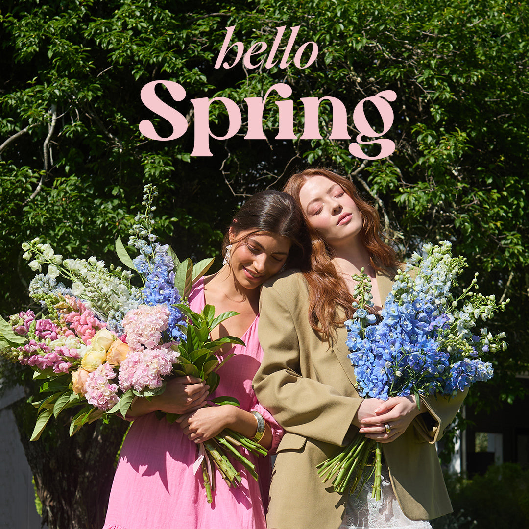 Welcome to Spring 👋🌷