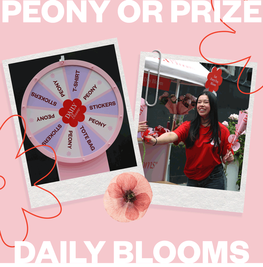 Peony Season 🌸🍃