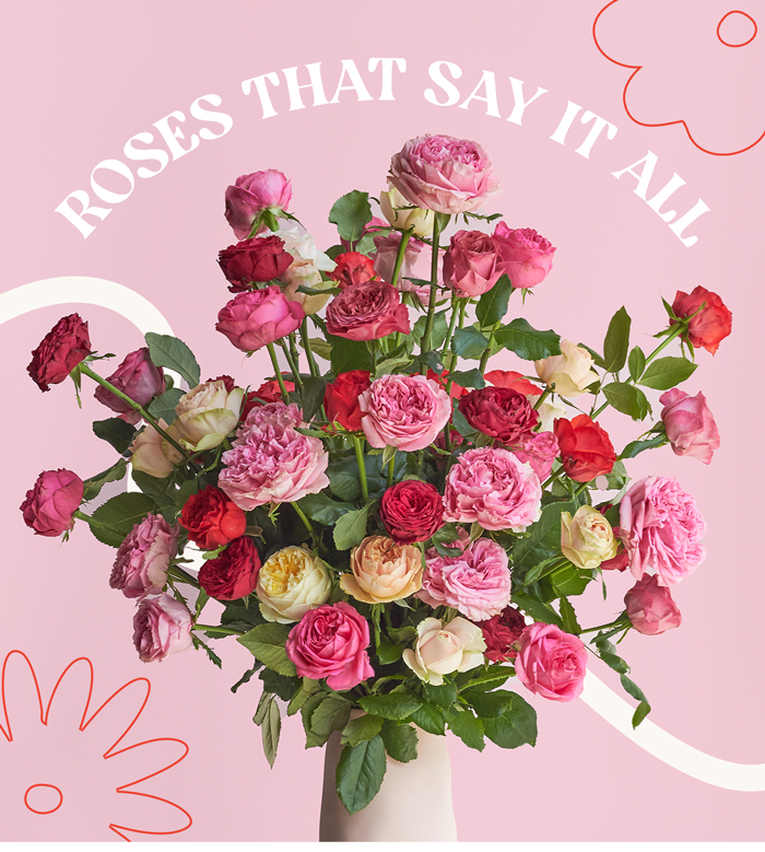 Roses That Say It All 🌹