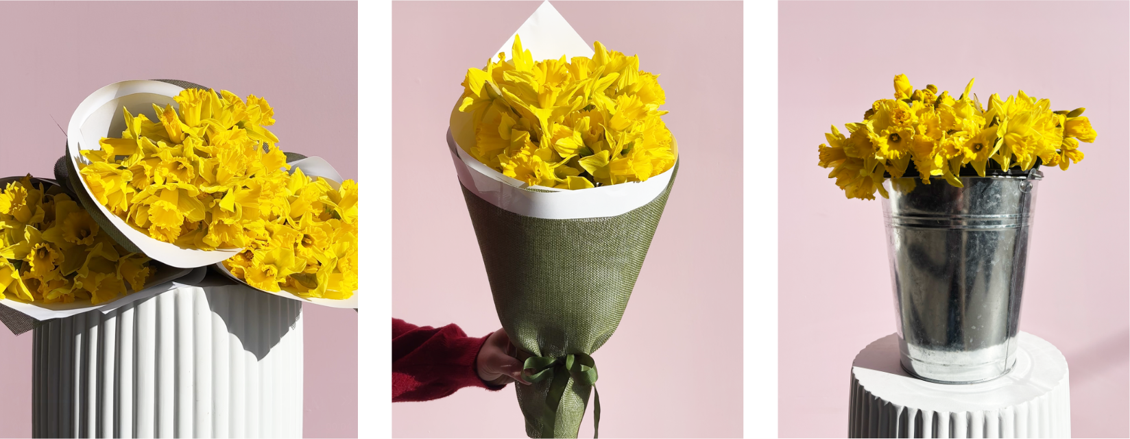 Daffodil Day 🌼