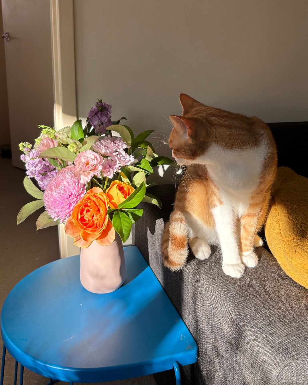Are your blooms furry friend approved? 🌸🐾