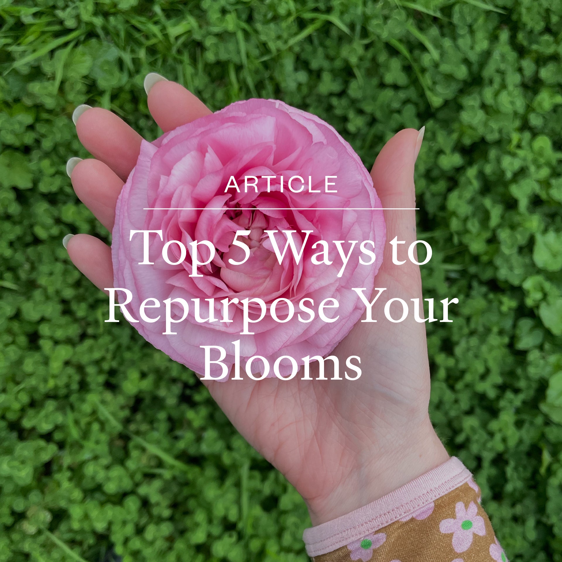Top 5 Ways to Repurpose Your Blooms