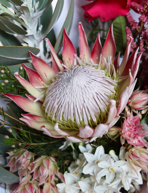 The Barkly Bouquet