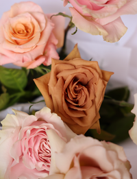 The Block - Main Bedroom Week Bouquet