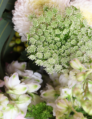 The Block - Rumpus & Laundry Week Bouquet