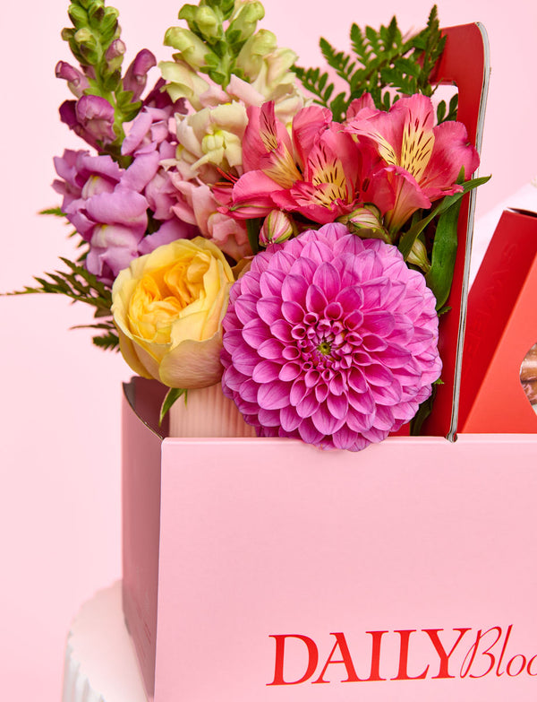 Yuletide Delights Bundle