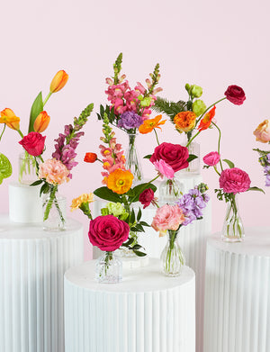 Bud Vase Package