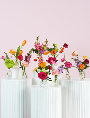Bud Vase Package