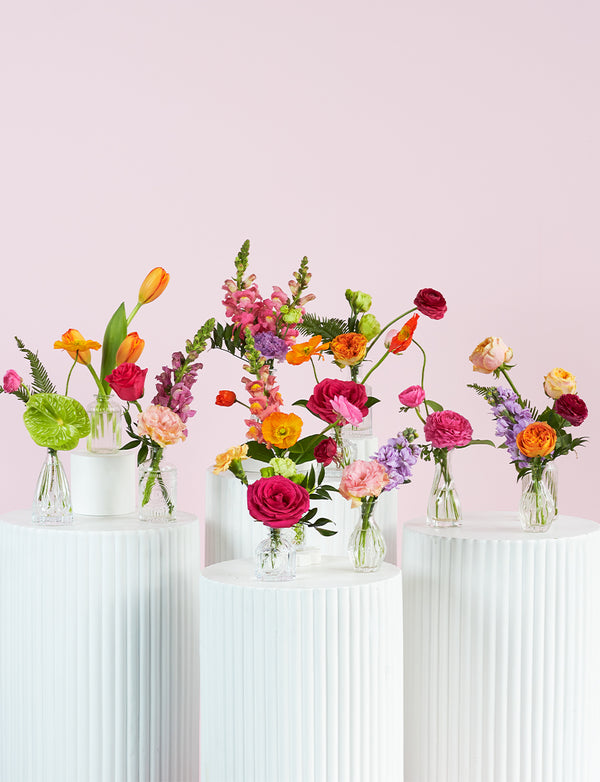 Bud Vase Package