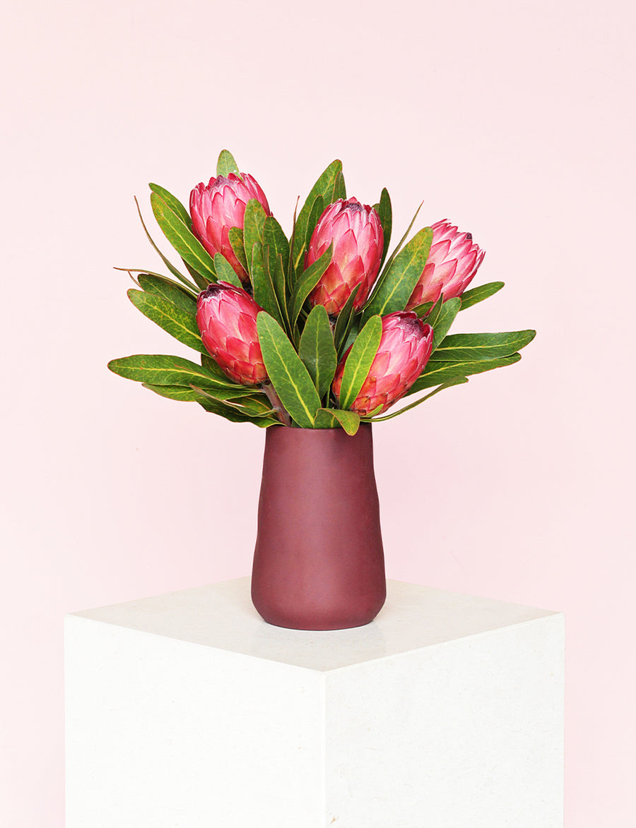 Small Tulip Vase - Burgundy