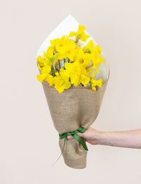 Daffodils For Good