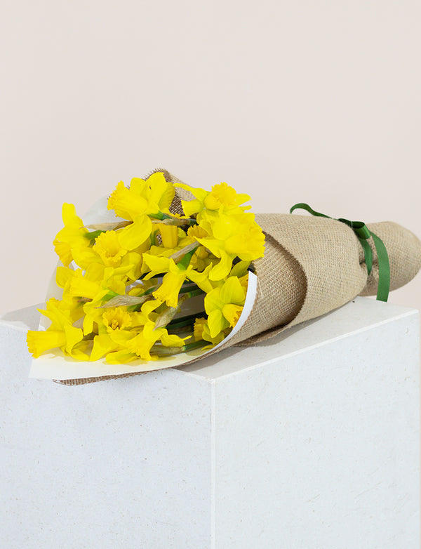 Daffodils For Good