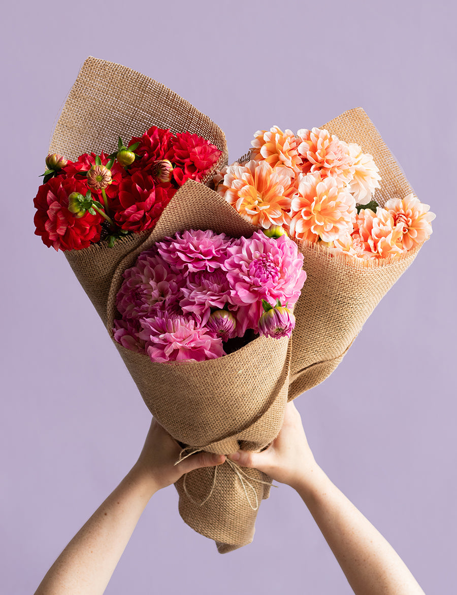 Sweet Bakes Bundle with Dahlias