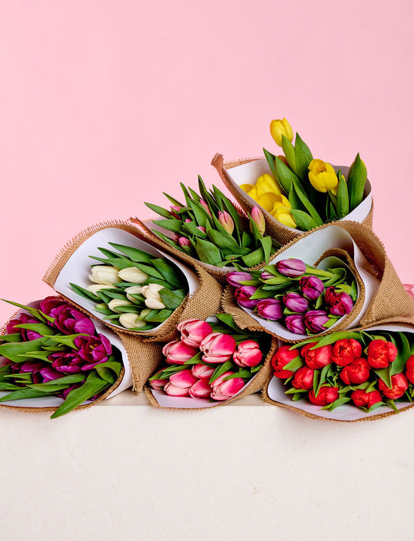 Tulips Lucky Dip!