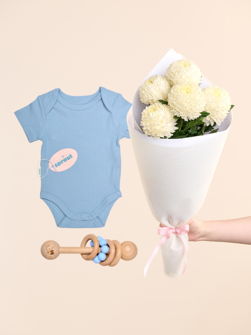 Lullaby Baby Bundle
