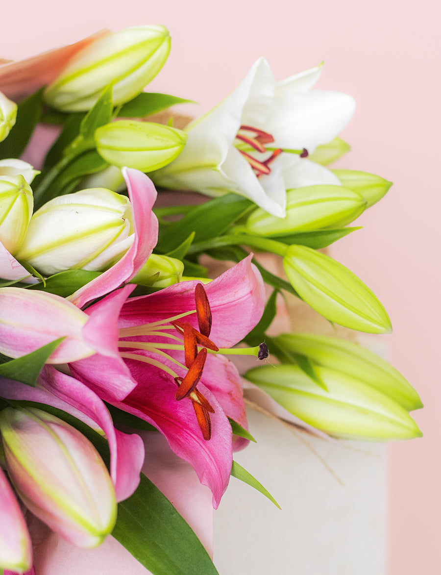 Oriental Lilies + a vase!