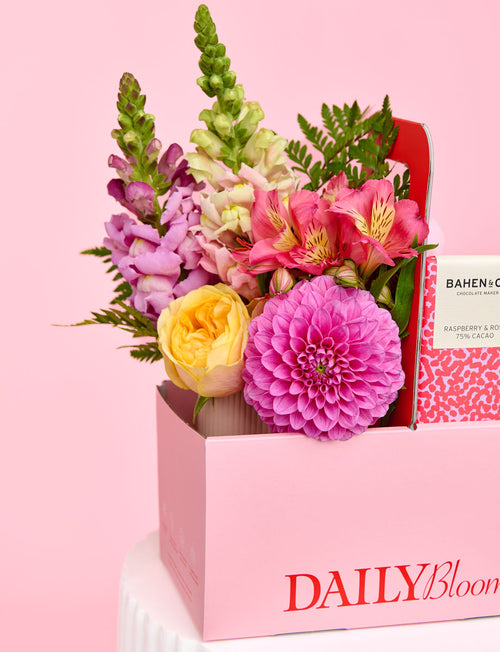 Floss Delight Bundle