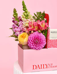 Floss Delight Bundle