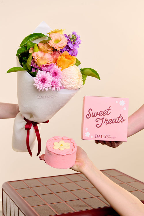 Sweet Bakes Bundle