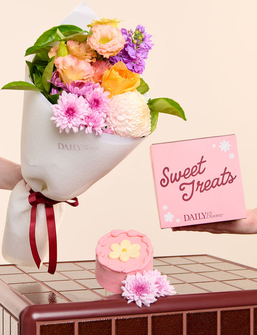 Sweet Bakes Bundle
