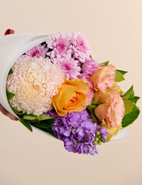 Sweet Bakes Bundle